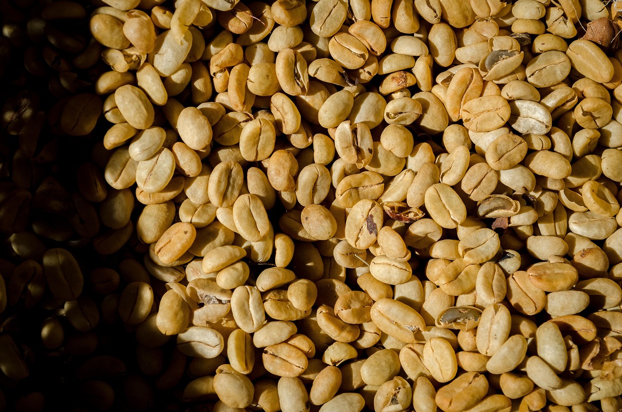 Indian green coffee beans